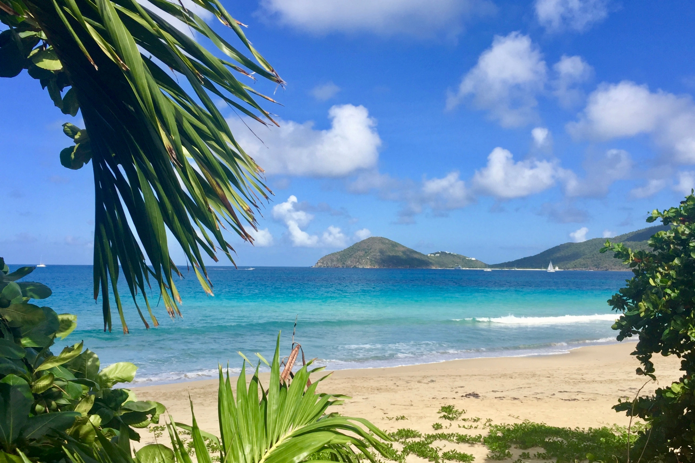 Lambert's_Bay[1].webp